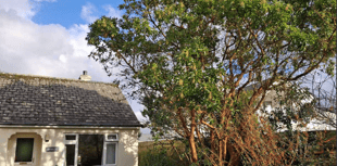 Planning: Houses could be built in location with 'unprotected' NDP