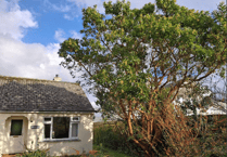 Planning: Nine houses could be built in location with 'unprotected' NDP