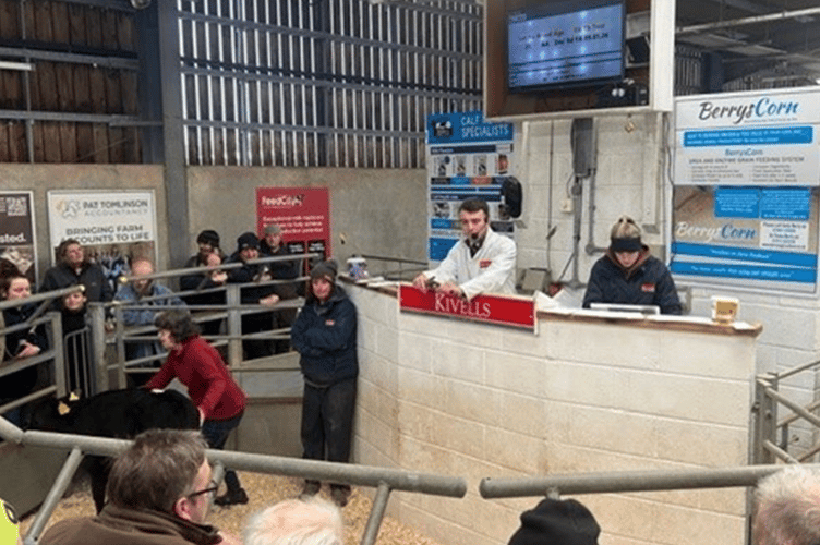 352 Calves through the ring at Holsworthy today, top of the day was £880
on behalf of G & G Smale & Son of Launceston.