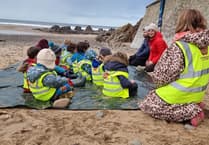Local pupils help reduce beach pollution in North Cornwall