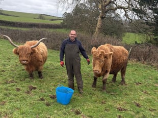 Farmer found 'utter carnage' after cow chased to its death by dog