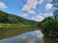 Drip Drip Tamar calls on locals to join next phase  