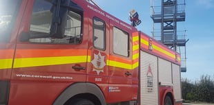 Fire crews called as sheep stranded in river