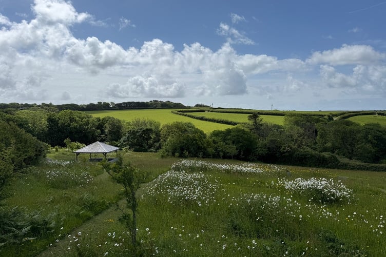 Atlantic Rest Natural Burial in Morwenstow