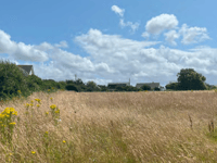 Proposals for 49 homes in coastal village submitted 