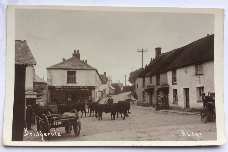 The Post is grateful to Rose Hitchings of Bridgerule for supplying this postcard. She said: "An amazing post card of Bridgerule - showing cattle being moved through the village. Not something that happens anymore. The village shop and telephone kiosk have both gone. The cottages on the right have thatched roofs - that too has changed they are now tiled. Showing a different Bridgerule to the one we live in today."
Share your memories or photographs with us by emailing community@thepost.uk.com