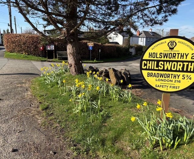 Support your community as a parish councillor