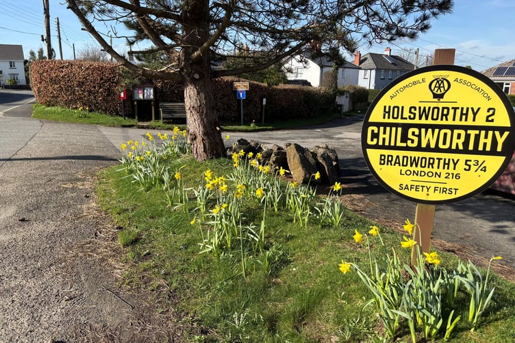 Holsworthy Hamlets Parish Council 