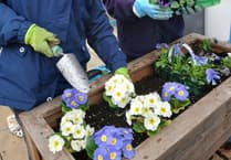 Community news from across North Cornwall, Torridge and beyond