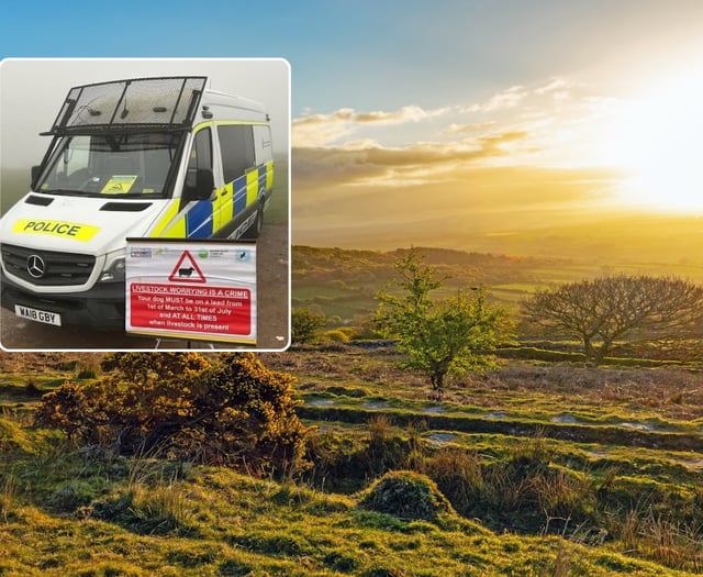 Cornwall's dog owners urged to protect wildlife