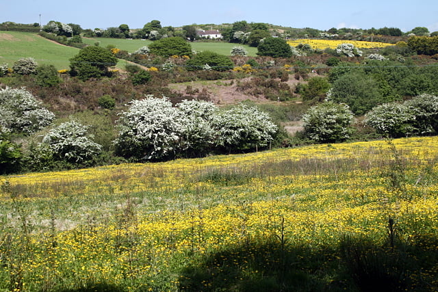 Henwyn tyller/Place names: Bissoe