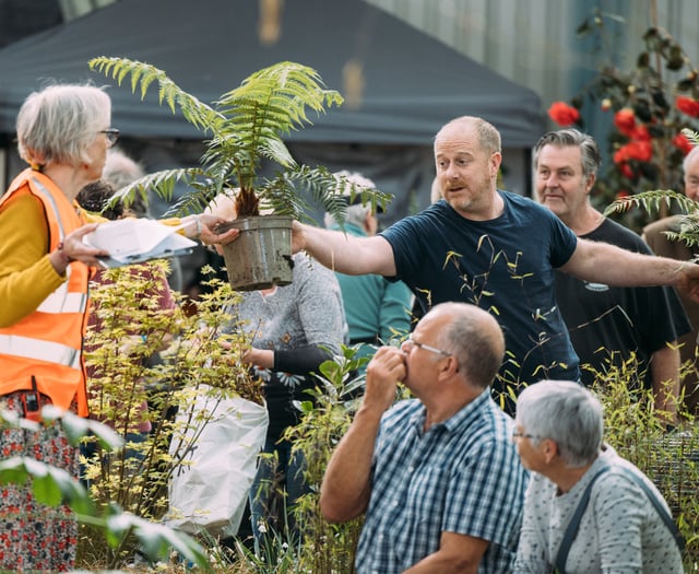 Embracing regeneration: Cornwall Spring Flower Show 