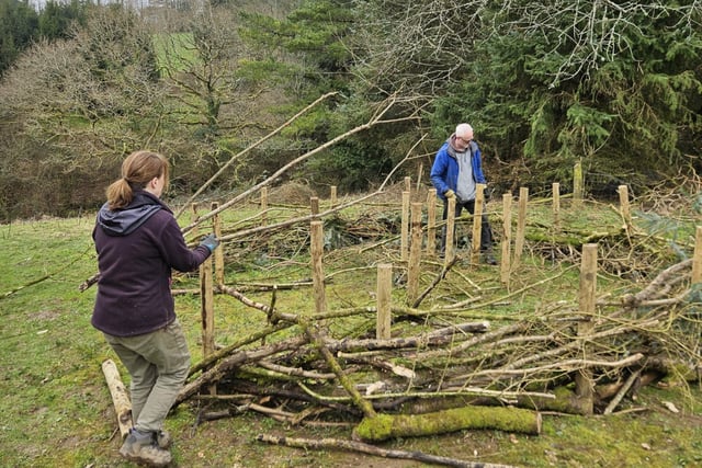 Volunteers breathe life into Launceston community woodland