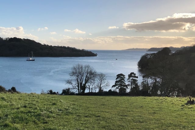 Henwyn tyller/Place names: Trelissick