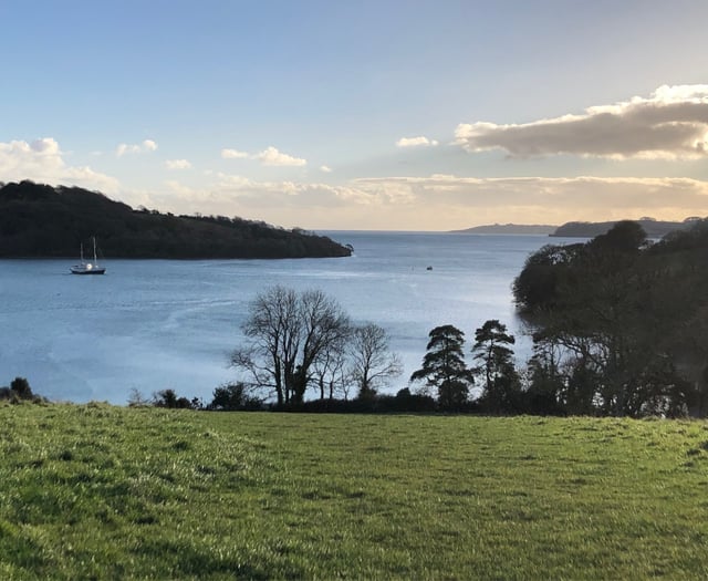 Henwyn tyller/Place names: Trelissick