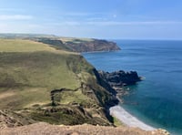 Coastal Cornwall - Woods where you feel you've stepped back in time