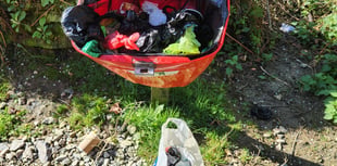 Forestry England issues rubbish plea