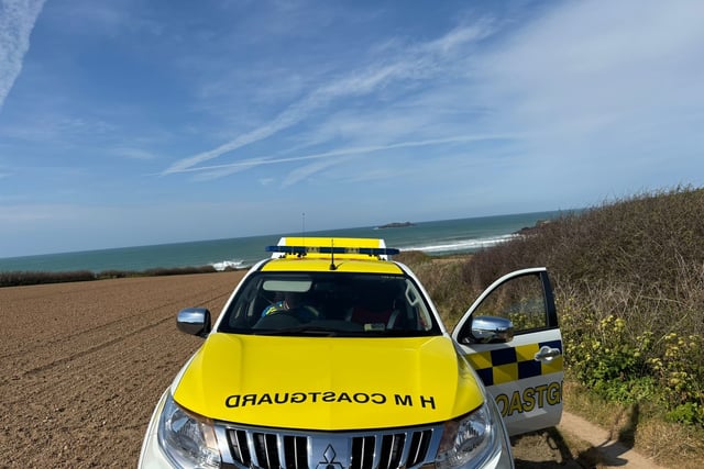 People urged to report sightings along the coast