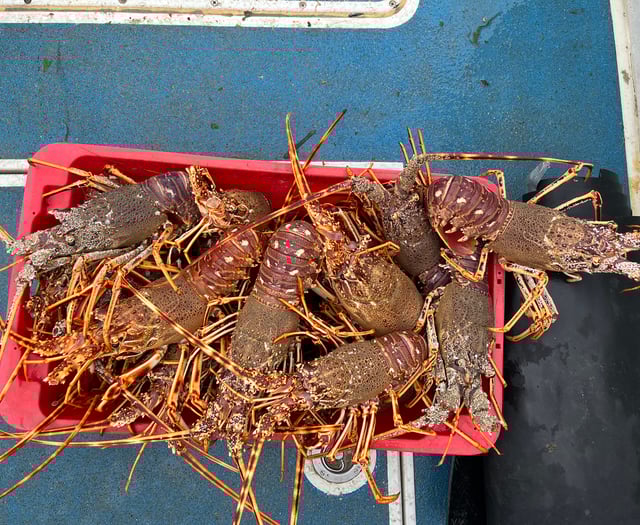 Fishermen fined nearly £10,000 over illegal shellfish offences