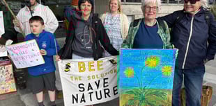 Cornwall Council votes to maintain its glyphosate ban