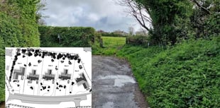 Five dwellings approved despite concerns