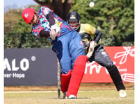 Trees look to push on after minor blip