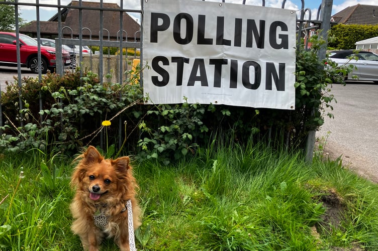 Olive Avenue Polling Station Petersfield