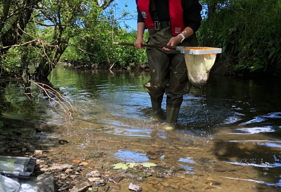 Cornwall farmer fined £3,765 for River Ottery pollution