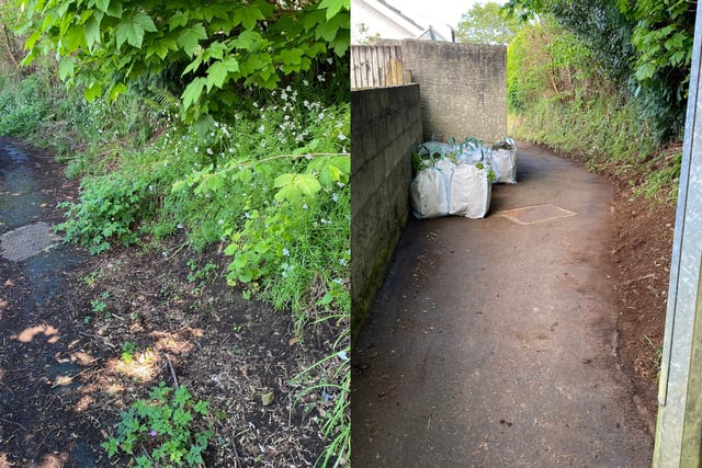 NCB Radio: From weeds to big lunches - a community bulletin