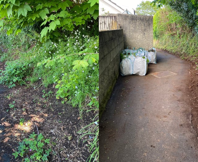 NCB Radio: From weeds to big lunches - a community bulletin