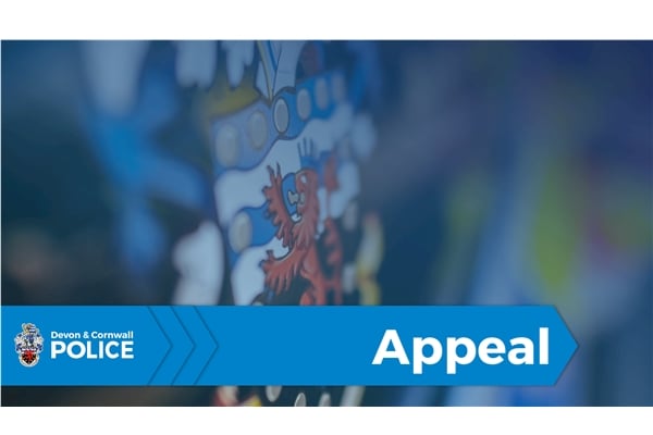 Police are appealing for witnesses and dash-cam footage after a pedestrian needed medical treatment after being the victim of a 'hit and run' incident.
