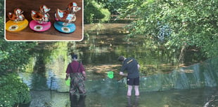 Community comes together for successful Lions duck race