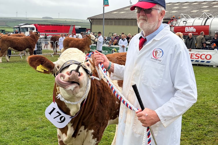 It has been a busy day in the cattle ring for Royal Cornwall Show day 1 