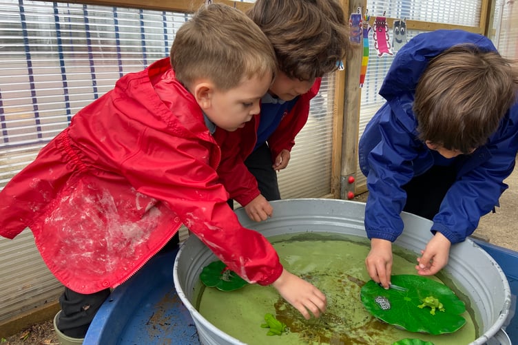 Marhamchurch Academy Outdoor Learning