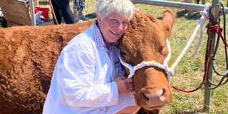 Stithians Show: Records, sunshine and smiles