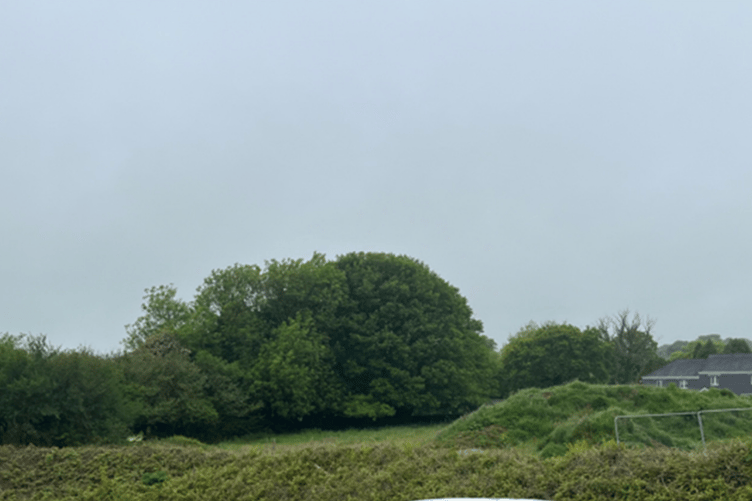 The location of the proposed homes in Darite (Picture: Cornwall Council)