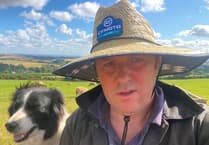DEFRA exploring 'financial options' to support farmers in wake of Bluetongue