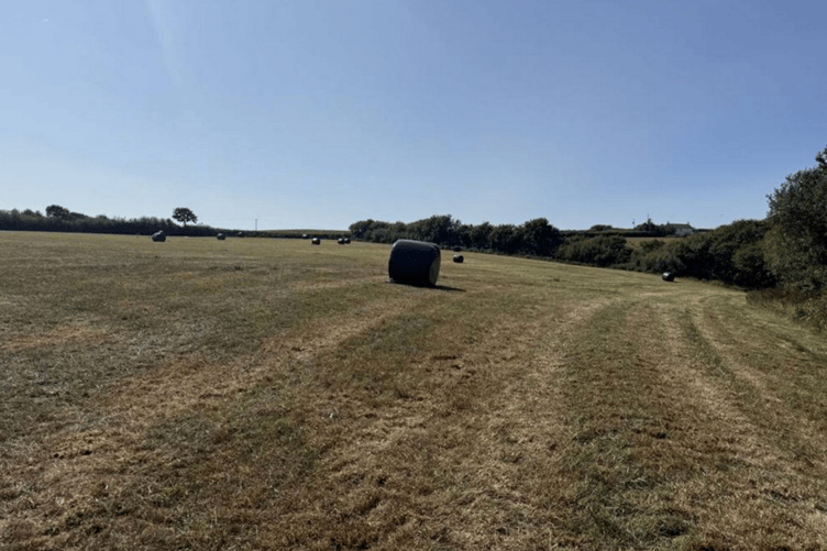 The agricultural field near Bude which could become a dog exercise paddock (Picture: Cornwall Council)