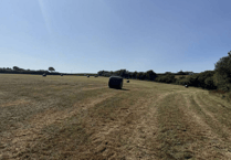 Proposals unveiled for dedicated dog exercise facility near Bude
