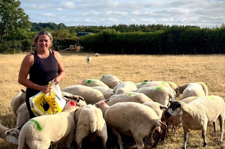 Councillor Cheryl Cottle-Hunkin with her sheep