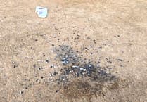 Don't ring 999 if your neighbour is having a barbecue, says Cornwall fire service