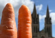 Truro Cathedral – more carrot than Cornwall?