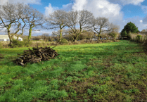 Developer says it is not underdeveloping land it plans to build five houses on