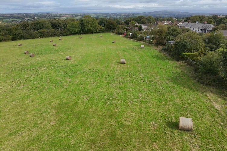 Villagers in Upton Cross are rallying together to bring The Meadow into community ownership