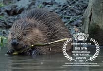 Award nomination for Kernow King-narrated wildlife film