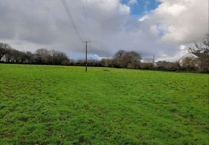 Five houses proposed near Lanhydrock House