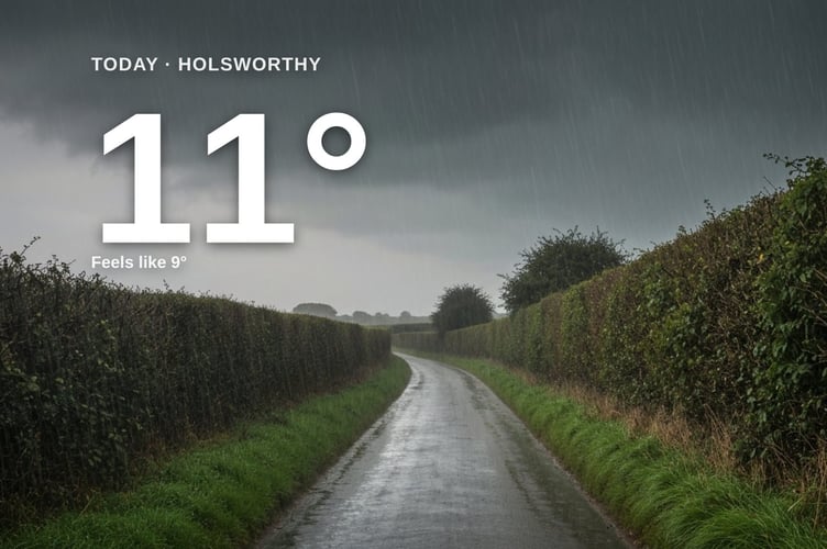 Holsworthy weather: heavy rain Friday with rain expected and a high of 11°C