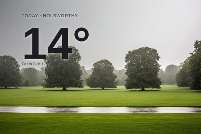 Holsworthy: heavy rain, high of 14°C