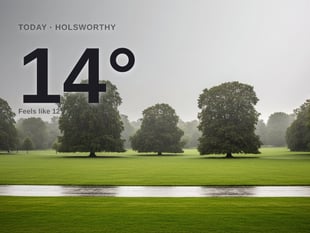 Holsworthy: heavy rain, high of 14°C