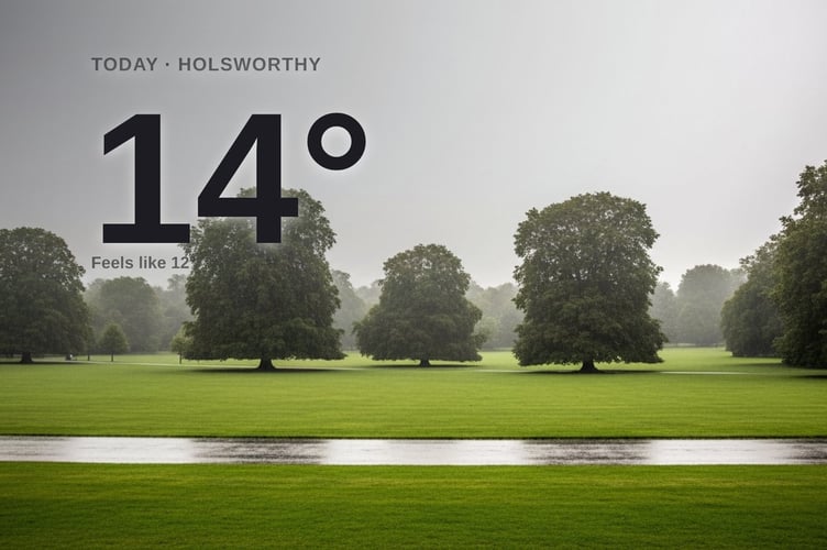 Holsworthy weather: heavy rain Thursday with rain expected and a high of 14°C